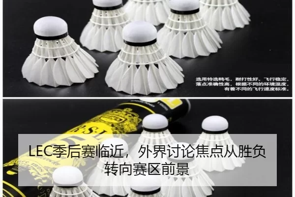 ji-hou-sai-lin-jin-wai-jie-tao-lun-jiao-dian-cong-sheng-fu-zhuan-xiang-sai-qu-qian-jing-2-250.jpg
